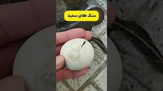 سنگ طلای سفید|به نظر دوستان چه سنگی میتونه باشه؟#طلا#گنج#shorts