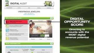 New Digital Audit from AdMall PRO