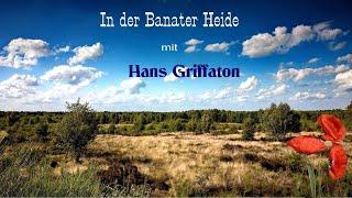 In der Banater Heide, das war eine schöne Zeit - Hans Griffaton