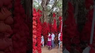 Kateramma Temple Kambalipura, Amma Shakti Peeta hoskote #hoskote #kambalipura #religion #bestscene