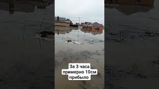 Ситуация в Приуралье. 14.00 Оренбург