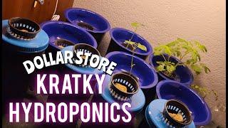 Cheap Dollar Store Kratky Hydroponic System Setup