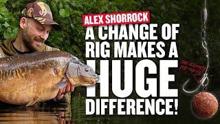 A Change of Rig Makes a HUGE Difference!!! | Fishing With The Stiff Hinge Rig | Carp Fishing