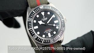 Tudor Pelagos FXD M25717N-0001 (Pre-owned)