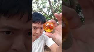 Bạn sẽ ước gì? Nếu có đủ 7 Viên Ngọc Rồng?