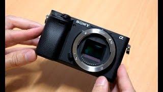 Sony a6400 - Review and Sample Photos