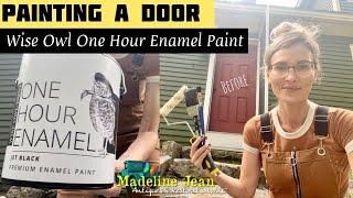 Painting A Door | Using Wise Owl One Hour Enamel Paint