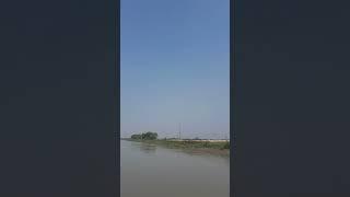 River/নদী#river #vlog #vlogger #bd #bdshortvideo #BD #video #blog #vlg #narailriver #Narail #village