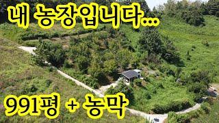 제 농장을 팝니다. 충북 제천 ~계획관리~ 991평+농막 ~ 아방궁 농장 주말쉼터 닭 키우기 ~염소~호두나무30주 체리30주 대추 복숭아 감나무 소나무자급자족 최종 7,200만원