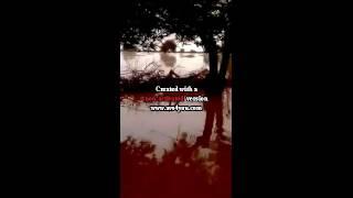 Warbaahinta QorilugudNews24.com La Soco Meel Kasta iyo Goor Walba