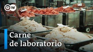 El consumo de carne y sus alternativas | DW Documental