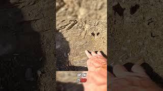 Discovering Hidden Gold in Bedrock! #shorts