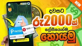 PROOF.. ! රු 2000ක් ලේසියෙන්ම හොයන හැටි |  NEW EARNING APP SRILANKA E MONEY