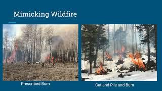 Resilient Landscapes: Fire Mitigation for Future of the Wasatch Mountains (2024 Watershed Symposium)