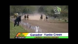 Yankee creen - Achiras Cba