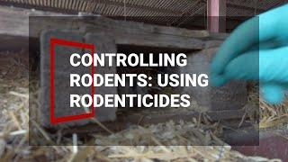 Rodent control on farms: using rodenticides