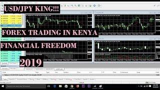 forex trading for beginners in kenya [USD/JPY KING]!!!!!![2022]