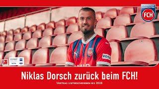 Niklas Dorsch zurück beim FCH!