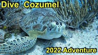 Cozumel 2022 Adventure & Guide