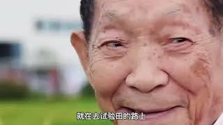 杂交水稻到底有多厉害？3分钟带你了解袁隆平的一生#科普