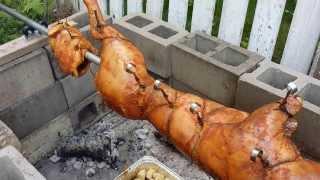 DIY home made backyard Pig and Chicken rotisserie