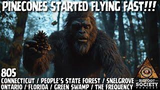 The Frequency That Brings Bigfoot | Bigfoot Society 805