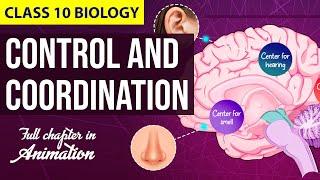 Control and Coordination Class 10 Full Chapter (Animation) | Class 10 Science NCERT Chapter 7 | CBSE