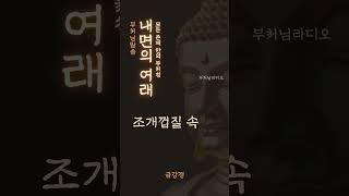 내면의 여래 | 모든 존재 안의 부처성| | 금강경 | 부처님말씀 | 명상, 명언, 마음치유, 인생지혜