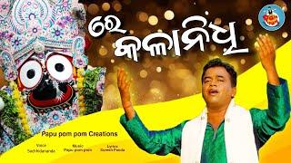 ରେ କଳା ନିଧି | Re Kalaa Nidhi | Sachhidananda | Papu Pom Pom Creations | Jagannath Bhajana #trending