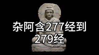 杂阿含277经到279经，中文白话翻译（198）