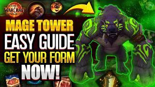 Ultimate GUARDIAN Druid Mage Tower GUIDE | WoW The War Within | Walkthrough