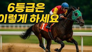 6등급 마필분석은 이렇게 하세요 #경마정보