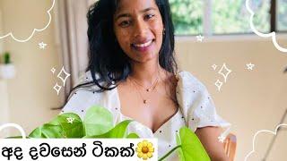 අද දවසෙන් ටිකක්New Zealand