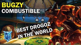 Best Drogoz Player in The World bugzy Paladins Competitive (Pro Player) COMBUSTIBLE