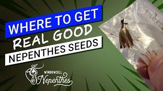  Where to buy real nepenthes seeds  (They sell seeds worldwide now!)