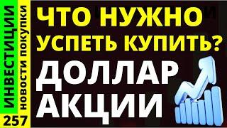 Какие акции покупать? Газпром Лукойл Роснефть Курс доллара Хэдхантер Дивиденды ОФЗ инвестиции