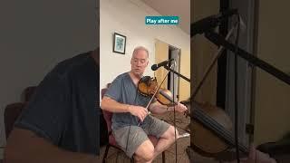 Live Play Along With Orchestra At Creative Strings Workshop Asheville