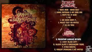 Purulent Spermcanal / Carnal Diafragma - split CD FULL ALBUM (2020 - Goregrind)