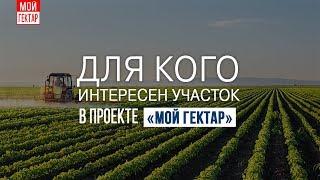 Для кого интересен участок в проекте "Мой гектар"?
