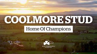 Coolmore Stud: Home of CHAMPIONS | ITM Irish Stallion Trail 2024