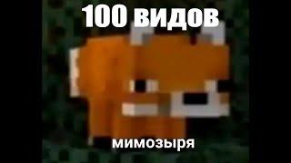 Все виды Мимозыря (100 видов)