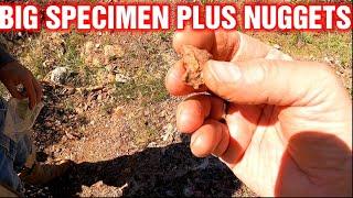 Big Specimen Plus Nuggets Gold Prospecting!