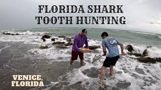 Florida Shark Tooth Hunting - Caspersen Beach and Sharky's Pier [Venice, FL]