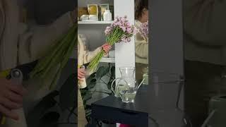 Цветы для дома 