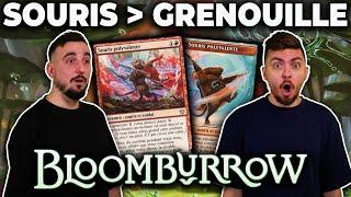 LES SOURIS ECRASENT LA CONCURRENCE ! BOROS AGGRO EN STANDARD BLOOMBURROW !