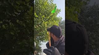 Hunting with slingshot best short #hunting #ytshorts #slingshot