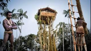 The Amazing Korowai Tribe Build Highest Treehouse on Earth in Dense Jungle.