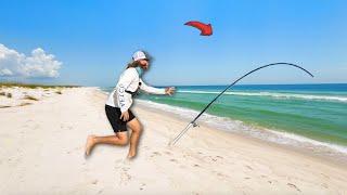 Tossing Cut Bait from the BEACH for GIANTS!