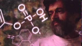 Terence Mckenna - Human Civilization and the Archaic Revival