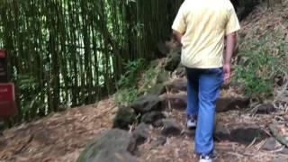 Bamboo Forest-Road to Hana